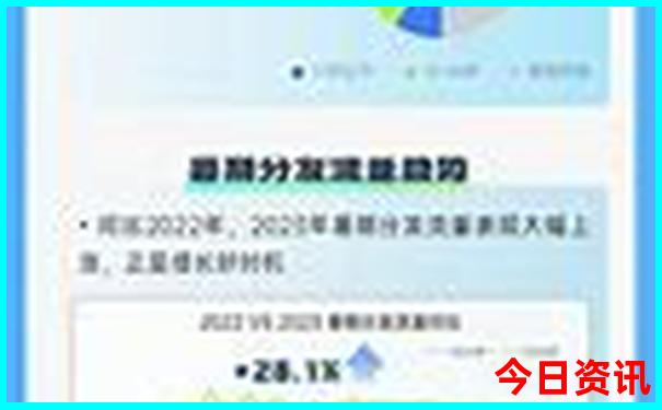 那个国家美女最多